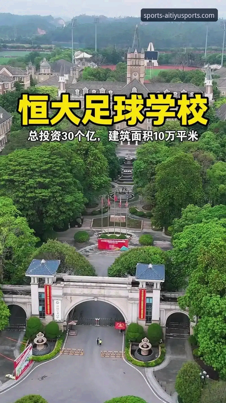 资深用户解析：从恒大足球兴衰看体育产业的风险与机遇